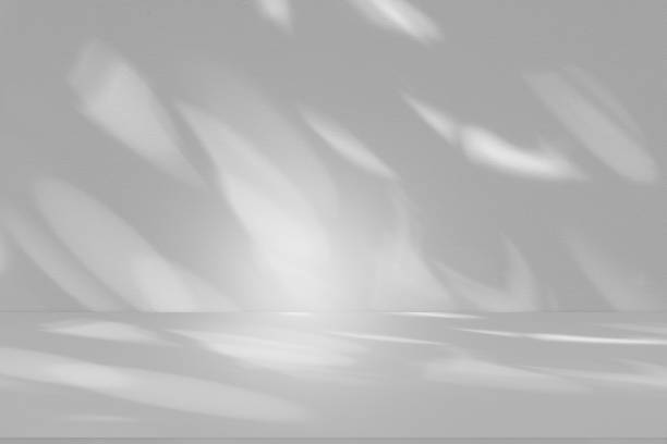 istock Studio style background wall decoration presentation uses white tones. with shadows cast from a nearby window, concept creating a decorative backdrop. 2170921437