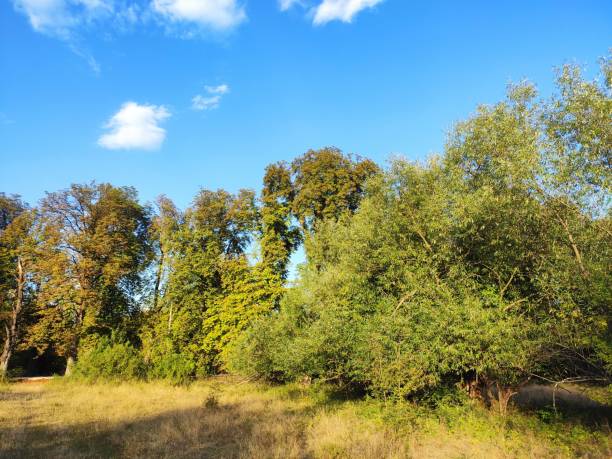 istock Beautiful Nature Photos 2170929005