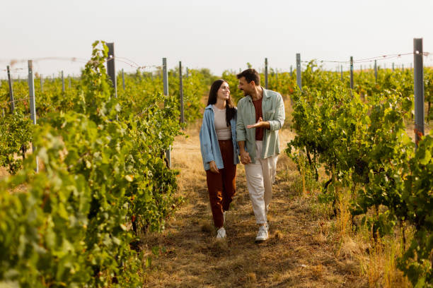 istock A charming couple strolls hand in hand through sunlit vineyards on a warm afternoon, enjoying the beauty of nature and each other's company 2170931404