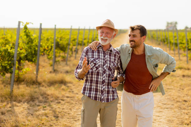 istock Two men stroll through a sunlit vineyard, sharing laughter and stories on a warm afternoon, surrounded by lush green vines 2170931522
