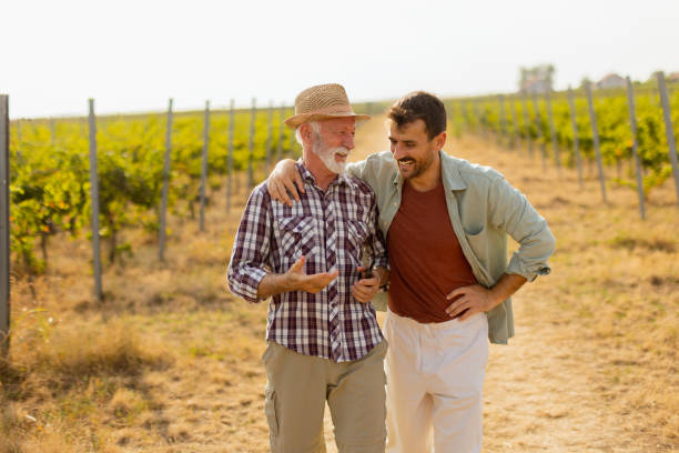 istock Two men stroll through a sunlit vineyard, sharing laughter and stories on a warm afternoon, surrounded by lush green vines 2170931553