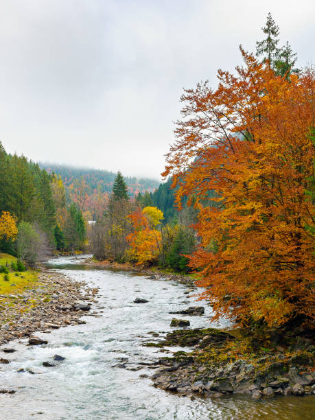 istock landscape with mountains, forest and a river in front 2170934545