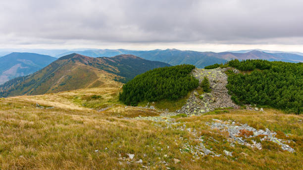 stones on the grassy alpine meadow