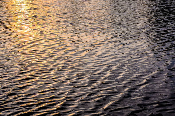 istock The water is calm and still, with ripples that are barely visible 2170939107