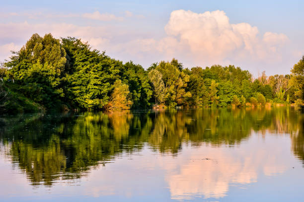 istock A calm lake with trees in the background 2170939137