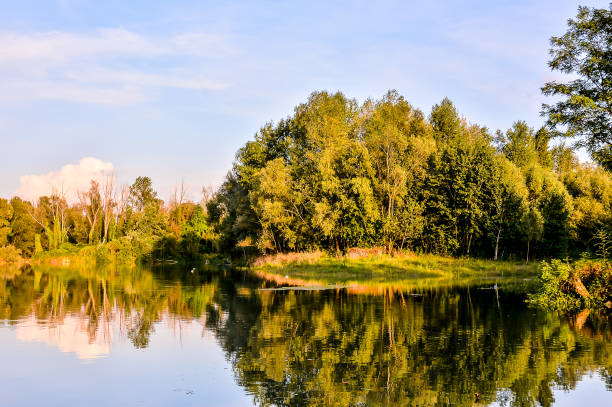 istock A calm lake with a forest in the background 2170939182