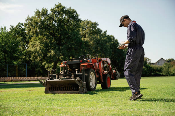 istock Rear, back view, walking. Man is with utility tractor with grass cutter and aerator equipment on the field 2170941418
