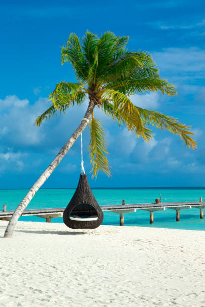 istock beautiful beach and tropical sea 2170946819