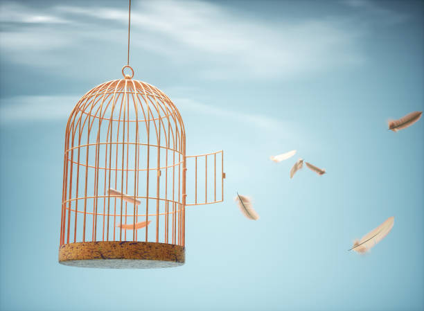 Birdcage with open door and feathers floating in the air. Concept of freedom. This is a 3d render illustration