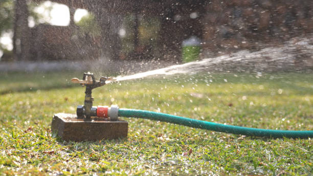 istock Active Resort Sprinkler by Kafue River 2170949384