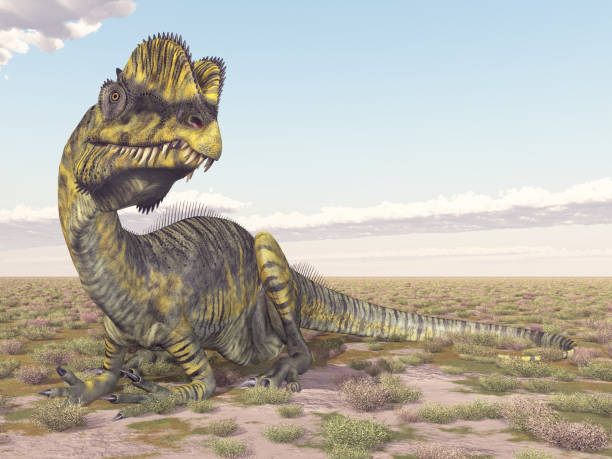 istock Dinosaur Dilophosaurus sitting in a landscape 2170951031