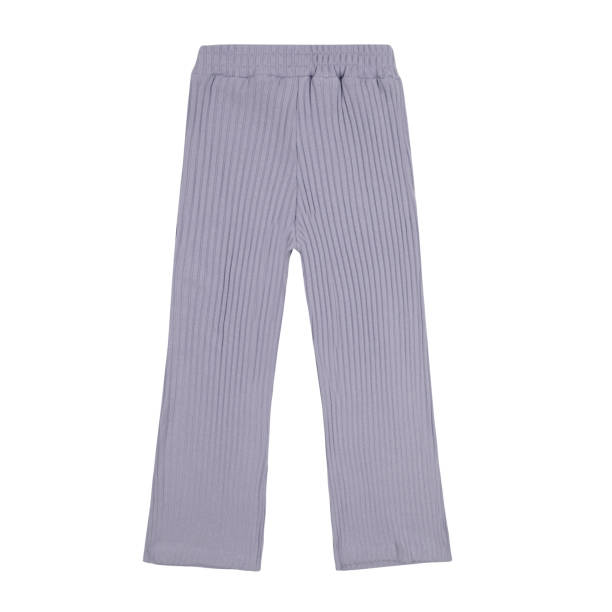 istock Girls purple pants on white background 2170952815