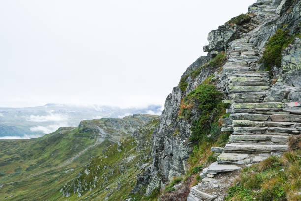 istock The sherpa stairs to the top 2170954528
