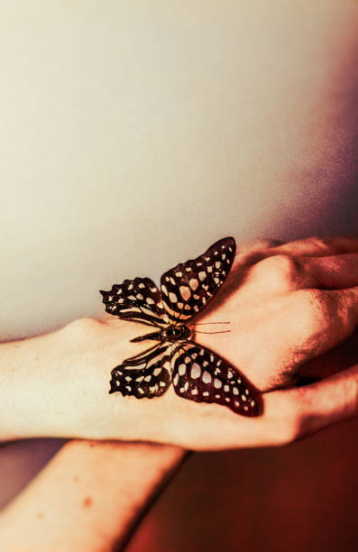 istock The dream of the butterfly. 2170956518