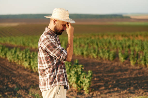 istock Tired, feeling bad. Farmer is on the agricultural field 2170959326