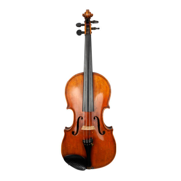 istock Vintage violin on white background 2170959398