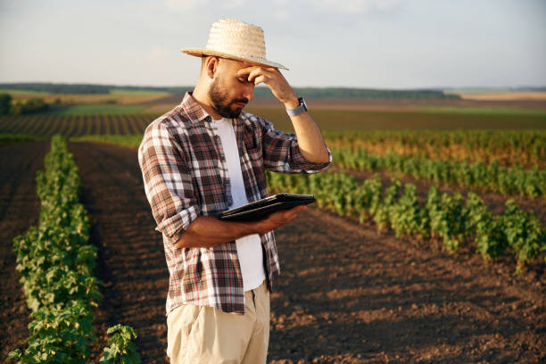 istock Tired, feeling bad. Farmer is on the agricultural field 2170960127