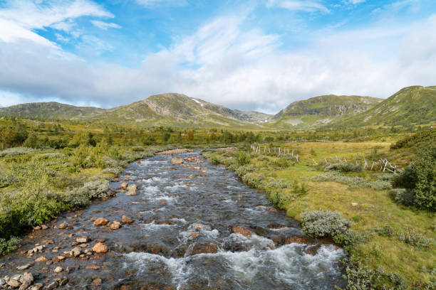 Fast flowing river winding through tundra vegetation and rocky banks, framed by wide mountain plateau and textured sky in Rondane mountain range, Norway.