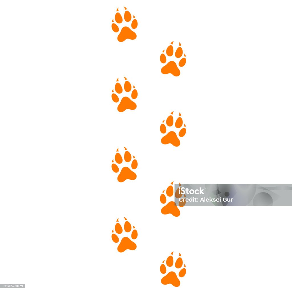 Fox Paws Texture Fox Paw Print Vector Isolated Paw Prints On White Background Stock ...