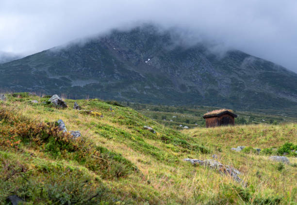 Small cabin in the mountains. Viken County.
