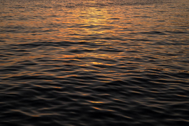 istock Blue sea surface with waves at sunset, sunrise. 2170966889