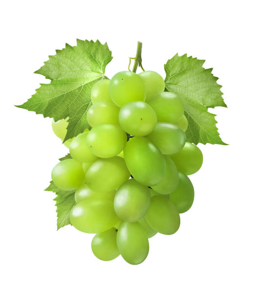 istock Green grapes vertical with leaves isolated on white background 2170967990