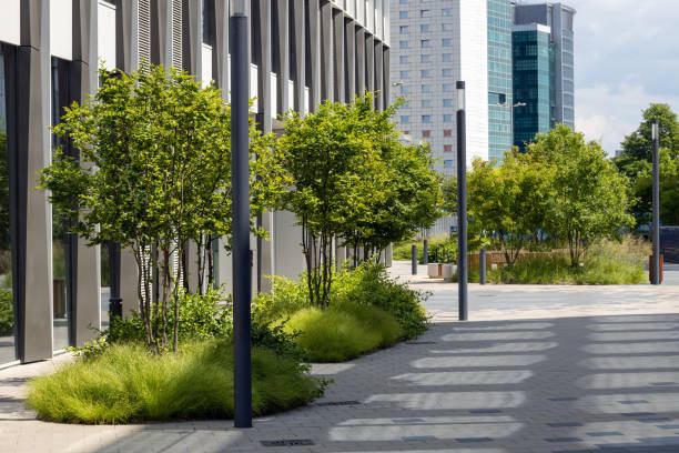 istock Modern Urban Landscape with Green Trees 2170972392