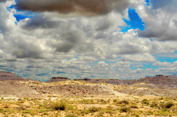 istock Bleak Landscape Petrified Forest National Park Arizona 2170972703