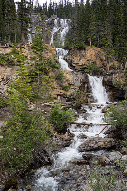 istock Tangle Creek falls off Icefields Parkway Jasper National park 2170976819