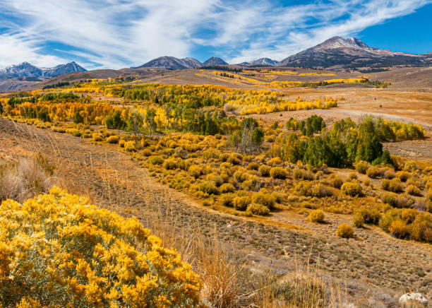 istock Fall Color Surrounding  Dunderberg Peak in the Hoover Wilderness 2170983727