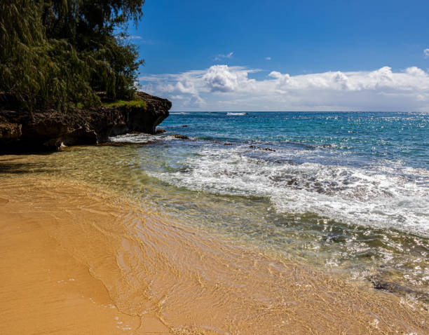 istock Waves Washing Over Exposed Coral Reef on Kawailoa Bay Beach 2170984593