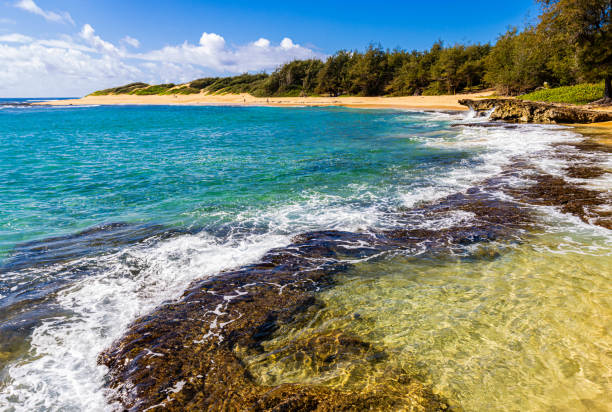 Waves Washing Over Exposed Coral Reef on Kawailoa Bay Beach