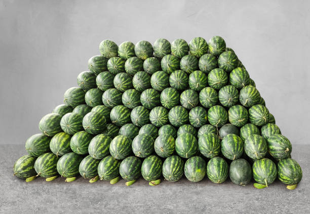 Watermelon fruit  a pile of beautifully arranged watermelons.