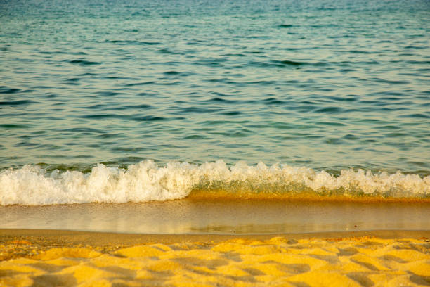 Seascape low front view of breaking wave and sandy beach on a sunny summer day.