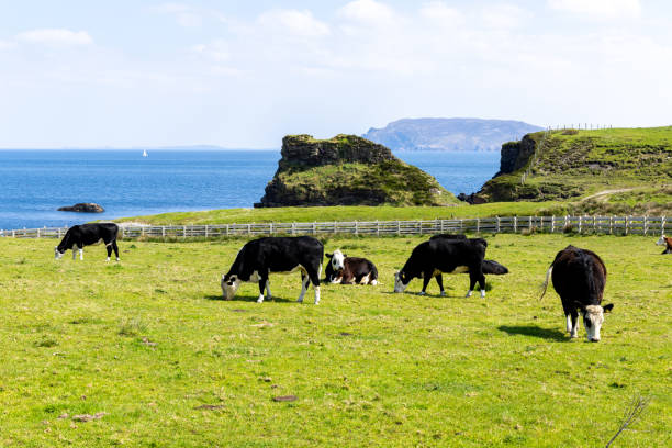 istock Great Pollet Arch, Donegal, Irland 2170991579