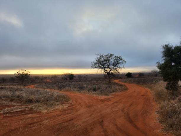 istock Sunrise in Africa. 2170991792