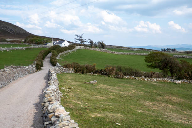 Horn Head is a peninsula in the county of Donegal. The cliffs rise up to 180 meters above the sea.