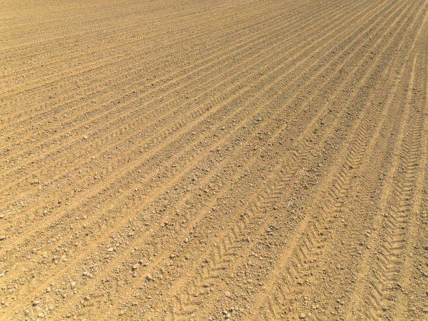 istock rows of plowed soil prepared for sowing 2170995498