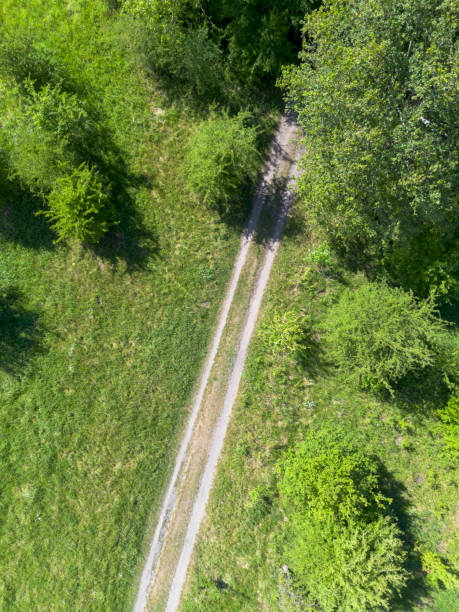istock Country road leading through a meadow, view from the top 2170995604