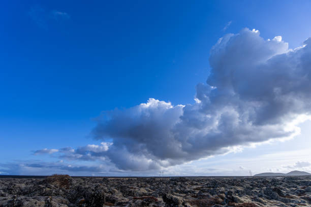 Vibrant lichens grow on the black volcanic rocks, presenting a primitive environment. Reykjavik Peninsula, Iceland.