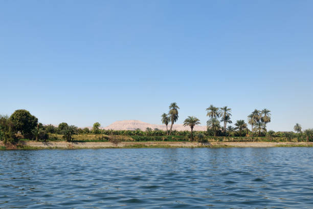 Sailing along the banks of the Nile, this scene beautifully showcases Egyptâs natural beauty, cultural diversity, and vibrant ecosystem. Explore lush vegetation, tranquil waters, and the timeless charm of this historic river. Photo taken with Medium Format camera and MF lens. Very detailed.