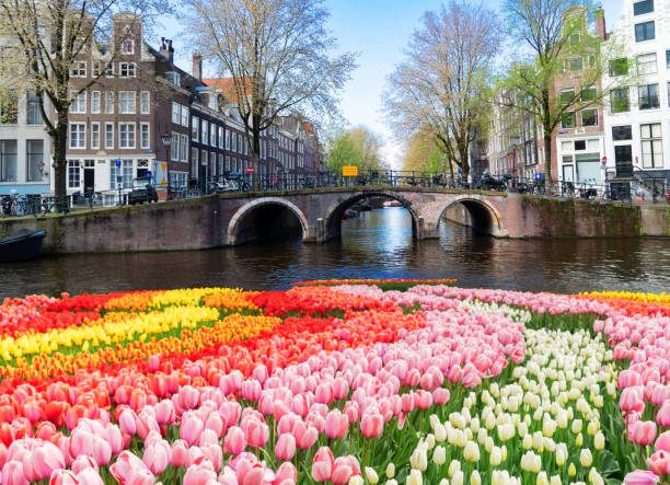 istock Houses of Amstardam, Netherlands 2171001335