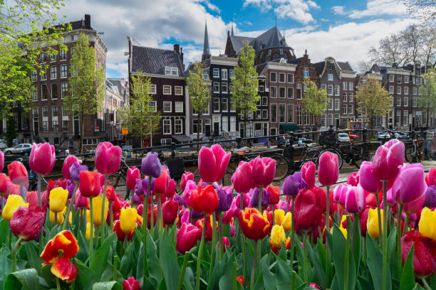 istock Houses of Amstardam, Netherlands 2171001485