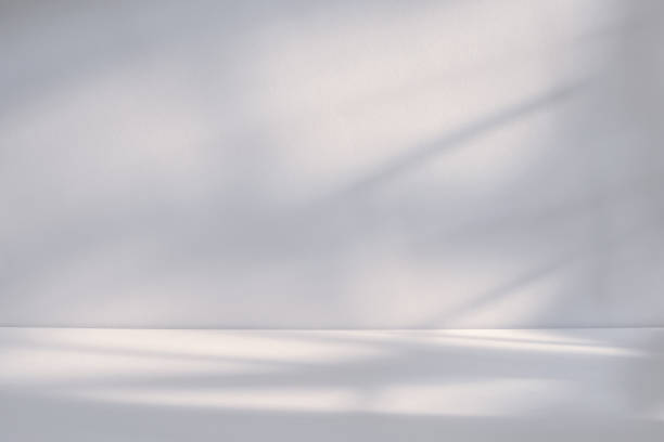 istock Soft natural light casts gentle shadows on minimalistic white textured surface of indoor white background 2171002406