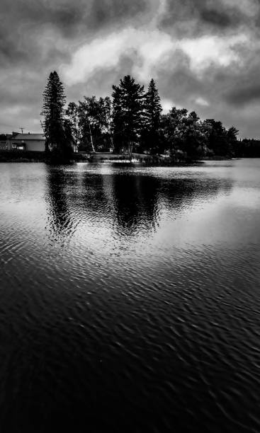 istock Beautiful Black and White Photo 2171005790