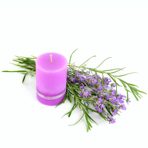 Lavender candle with fresh lavender isolated on white background. Free space for text.