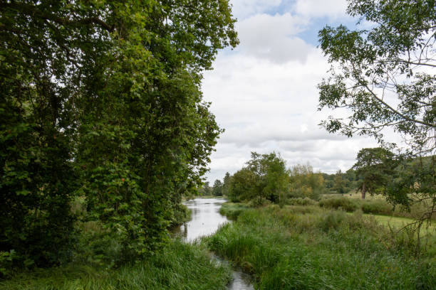 istock The river Chess running through the herfordshire 2171011710