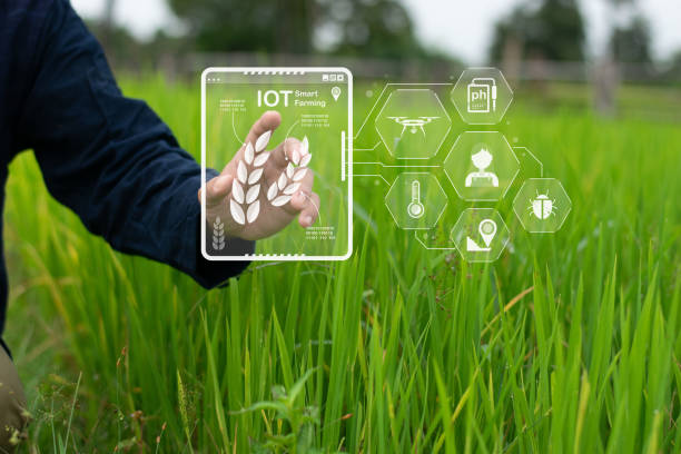 istock Innovative IOT internet of things sensor for measuring moisture content in plantations and making precise and automatic water release decisions. 2171012021