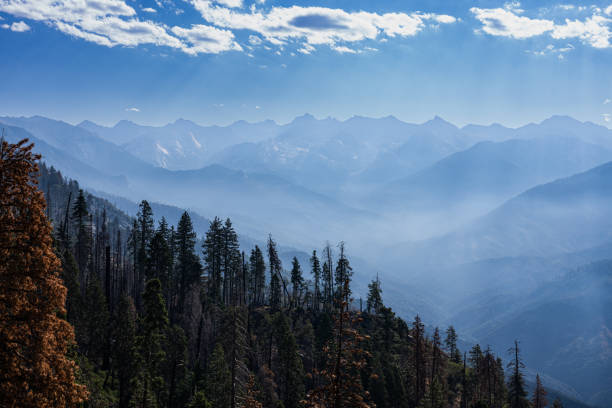 We climbed up to the Moro rock in Sequoia National Park and observed the Coffee Pot Fire this morning. The smoke is impacting both the Sequoia and Kings Canyon national parks, as well as polluting the air of southern California.