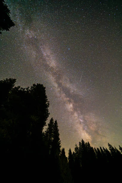 istock Milky Way Over Sequoia National Park 2171013468
